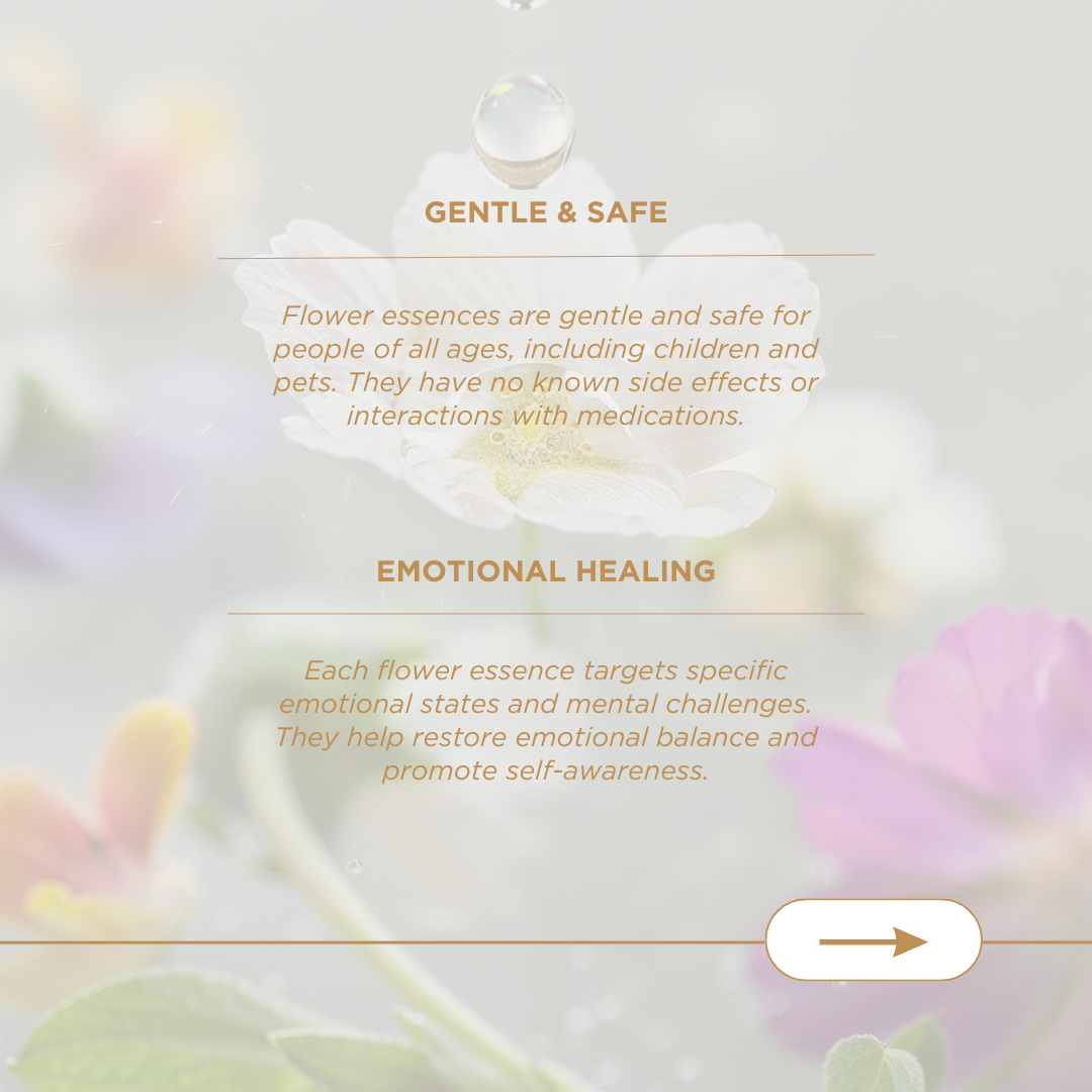 FLOWERSPELL REMEDIES 101