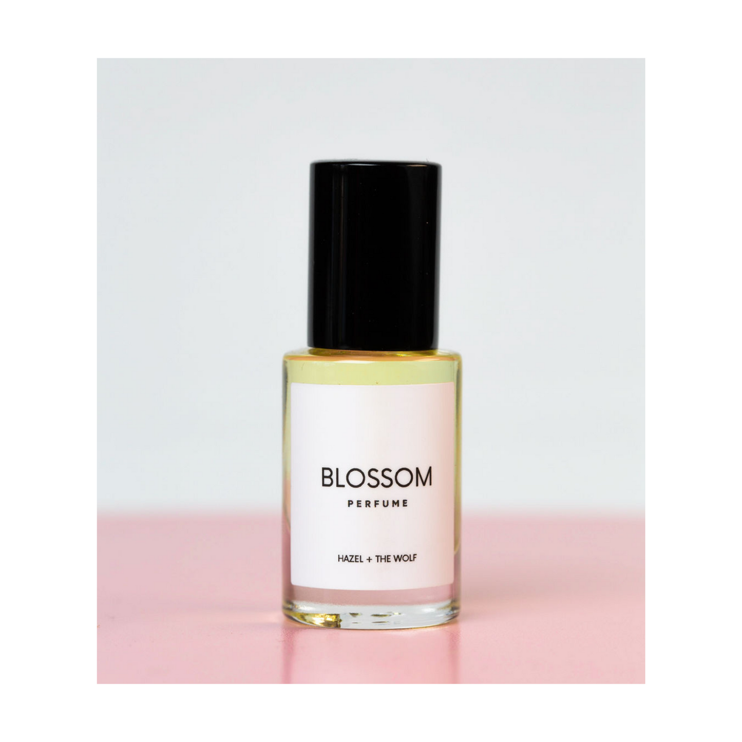 The Retired Perfume Collection