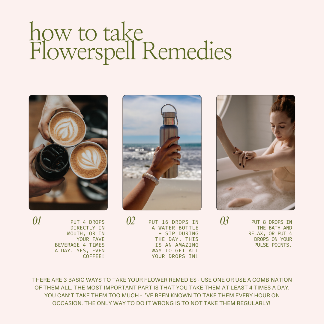WAYFINDER FLOWER ELIXIR - for finding your passion and your purpose