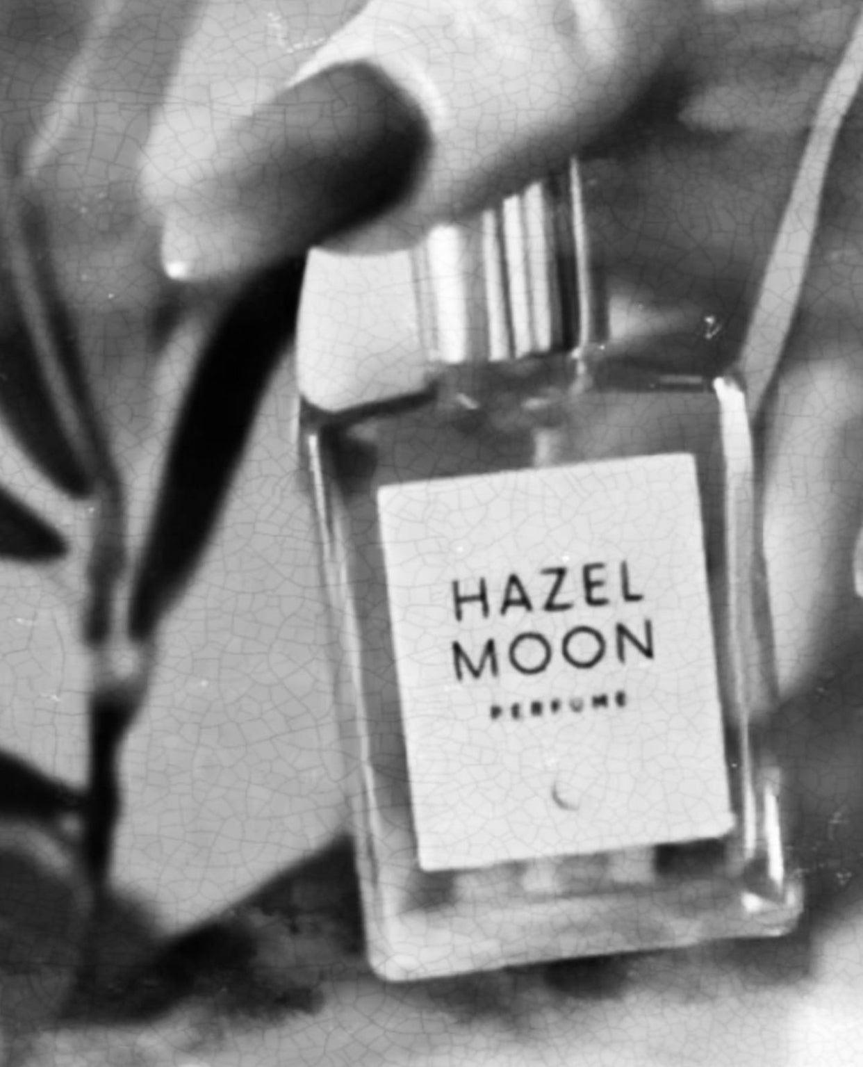 Hazel Moon Perfume Oil