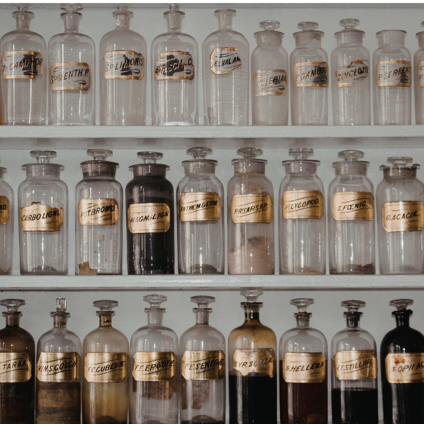 Remedy Refill - Custom Homeopathic & Flower Essence Remedy