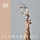 FLOWERSPELL SESSIONS