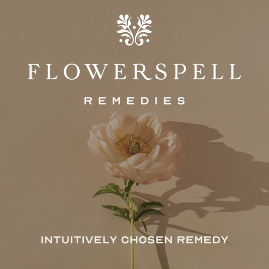 Flowerspell ~ Intuitively Chosen Remedy