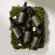 Herbal Tonics by Subluna